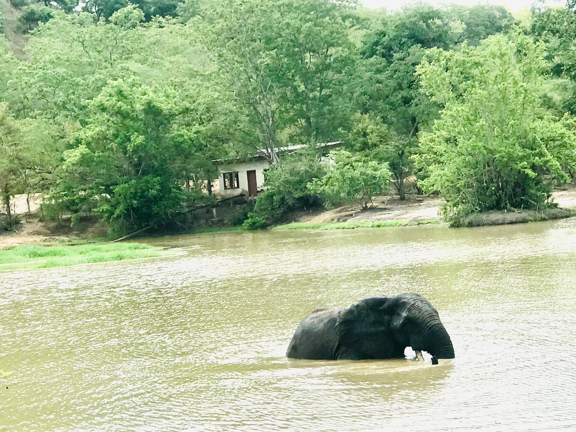Nature & hiking in Mole National Park — what to do and where to start