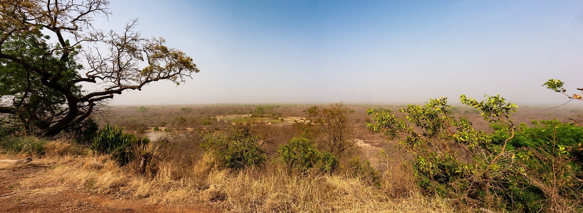 Photography in Mole National Park — what to do and where to start