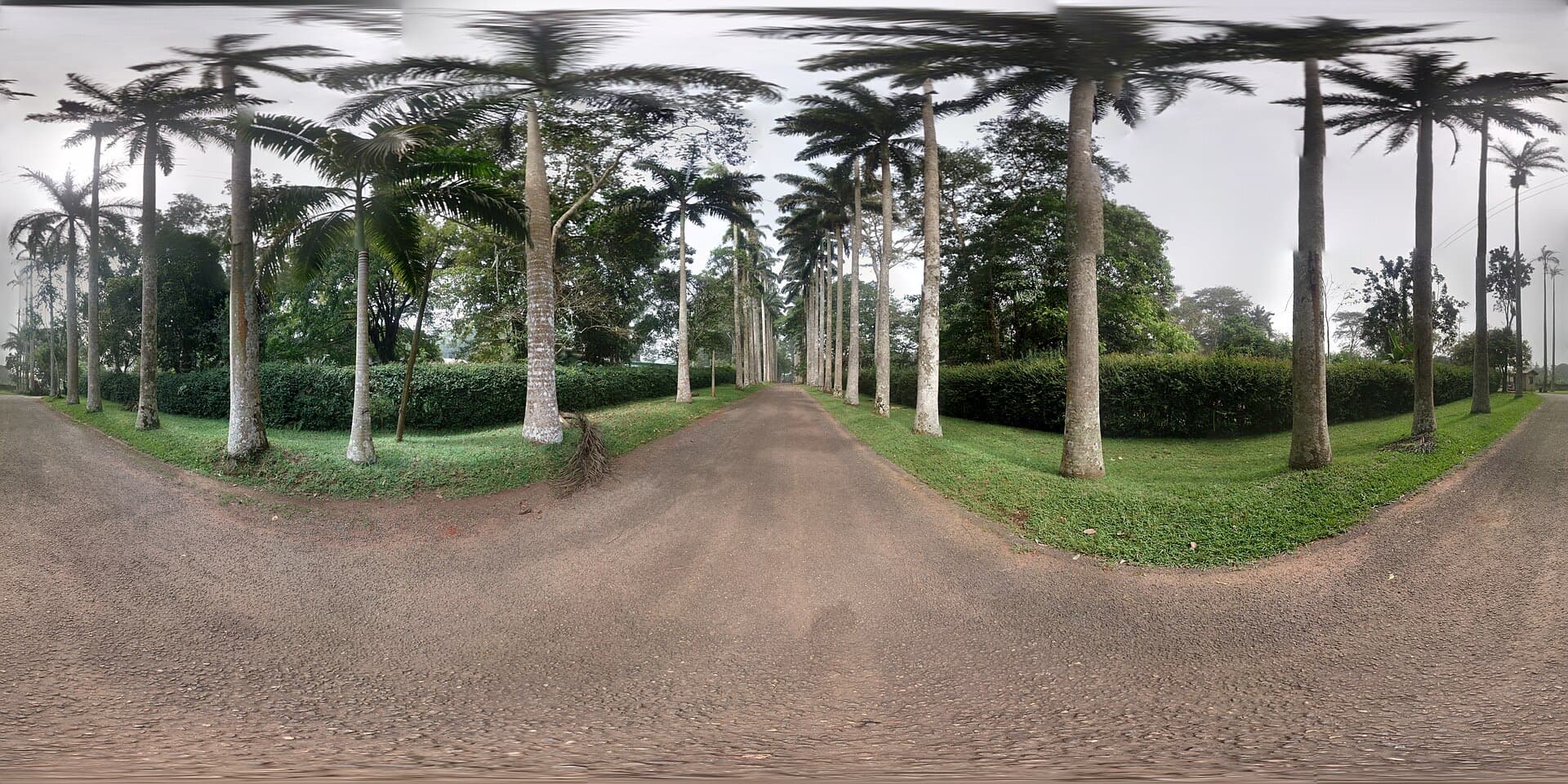 Things to do in Aburi — 5 ideas for 2026