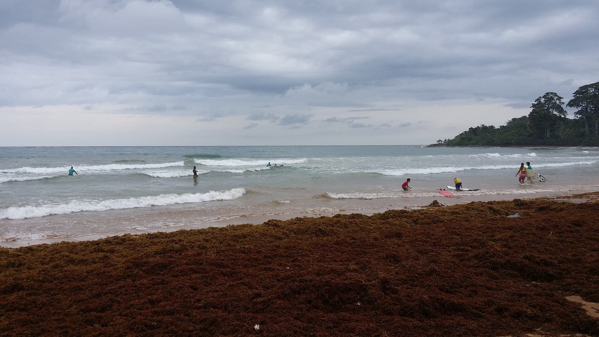 Things to do in Busua — 5 ideas for 2026
